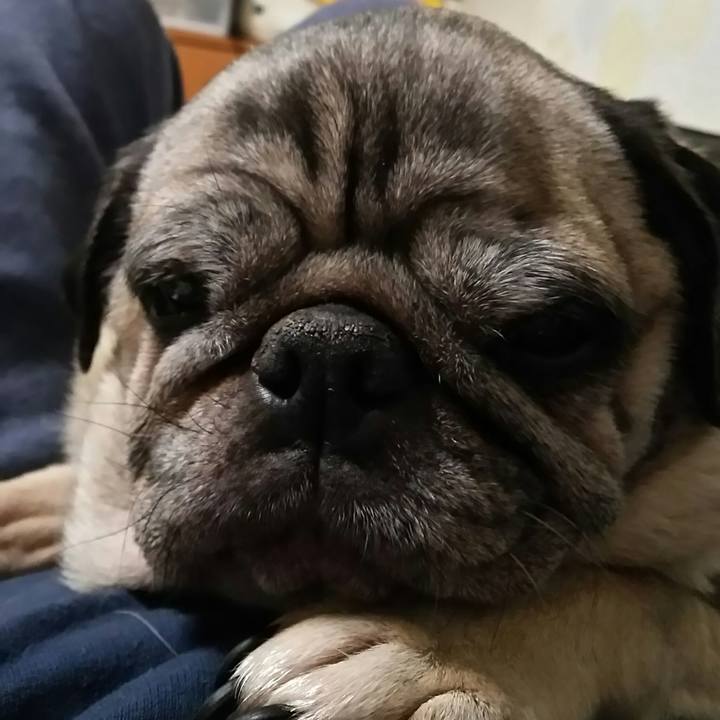 04c304f5 f21d 4f2f 8446 6267ae2f823e