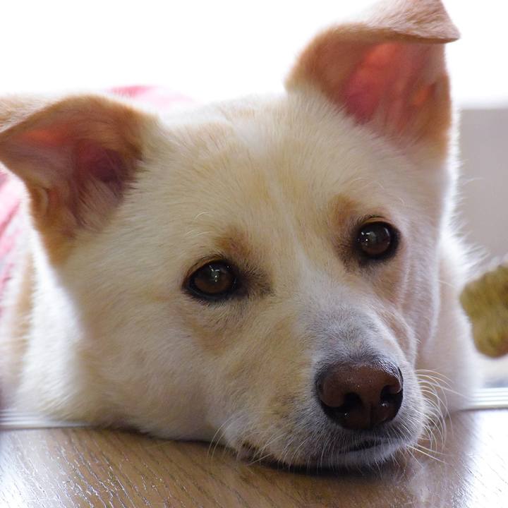 04c36d21 646a 419d 8eba db8db676379c