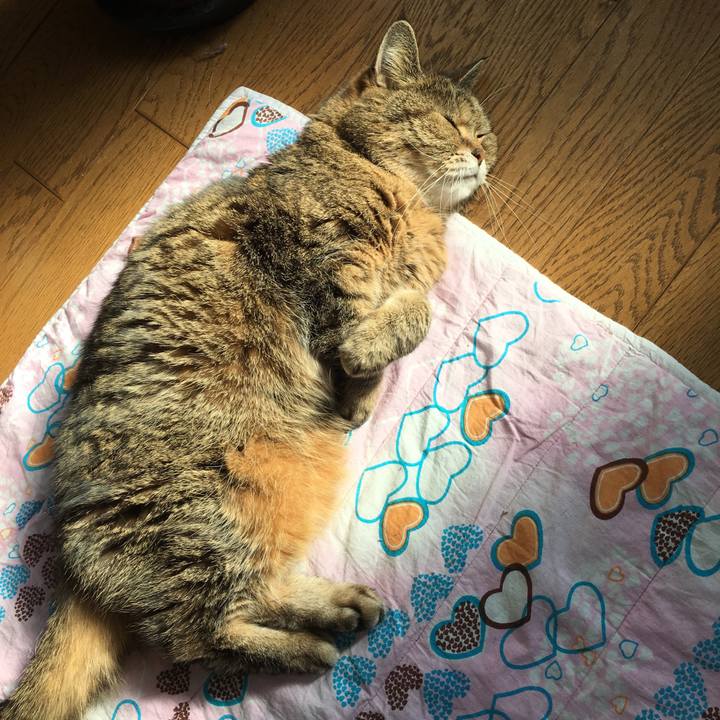 04c37cc9 3476 40d4 85cb b0ac71deddf3