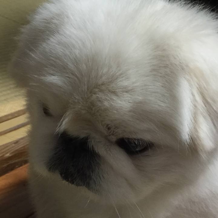 04c3c034 82cb 46b5 843a 11ebb8ac3fbd