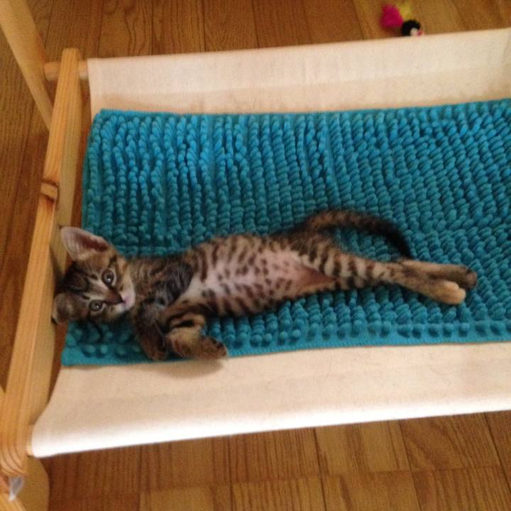 04c44d39 8fe3 4b5b 8267 2f1fe121de4b