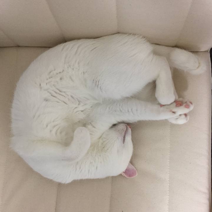 04c4a4f2 993a 4ffa a64f afd1a7db20f6