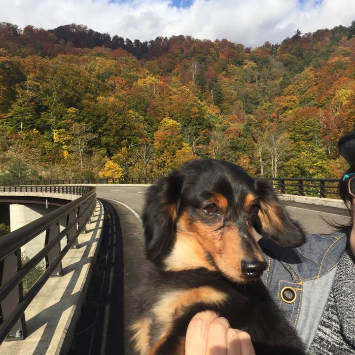 04c4ca5d 4881 43db 8d1d cc35dfeb3be4