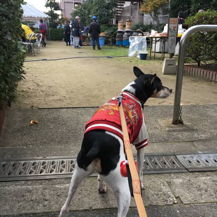 04c4ff35 df10 4aca b208 7b714d3a5e25