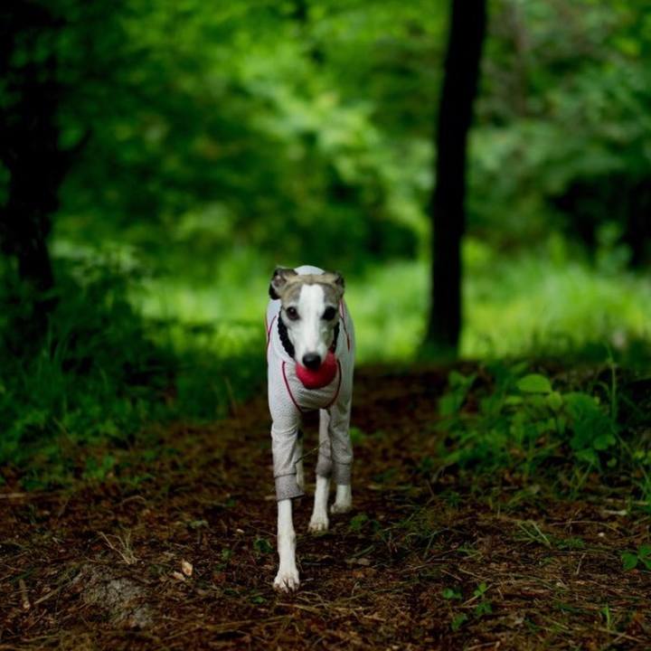 04c5038e 5a59 47e3 aad4 735c4099e066