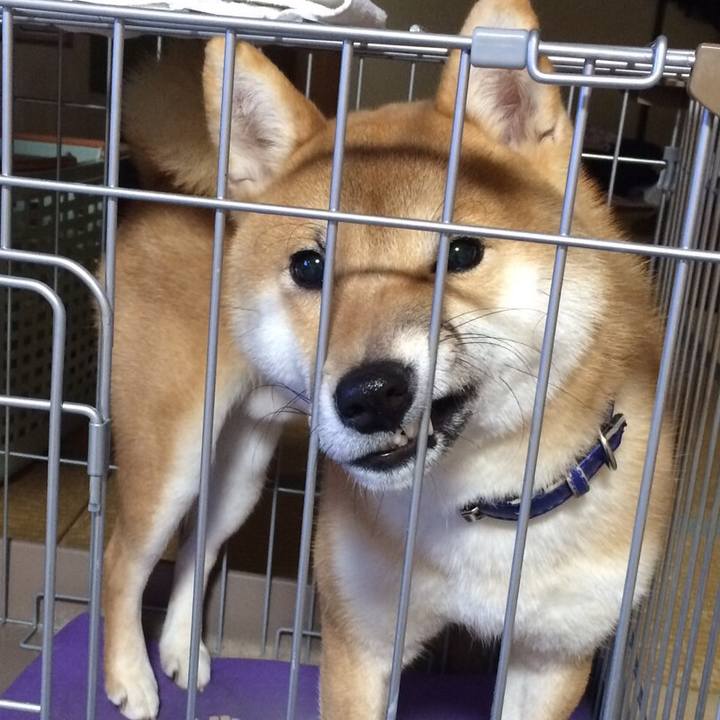 04c50e7e a2b8 4855 9539 50183d5f83bf