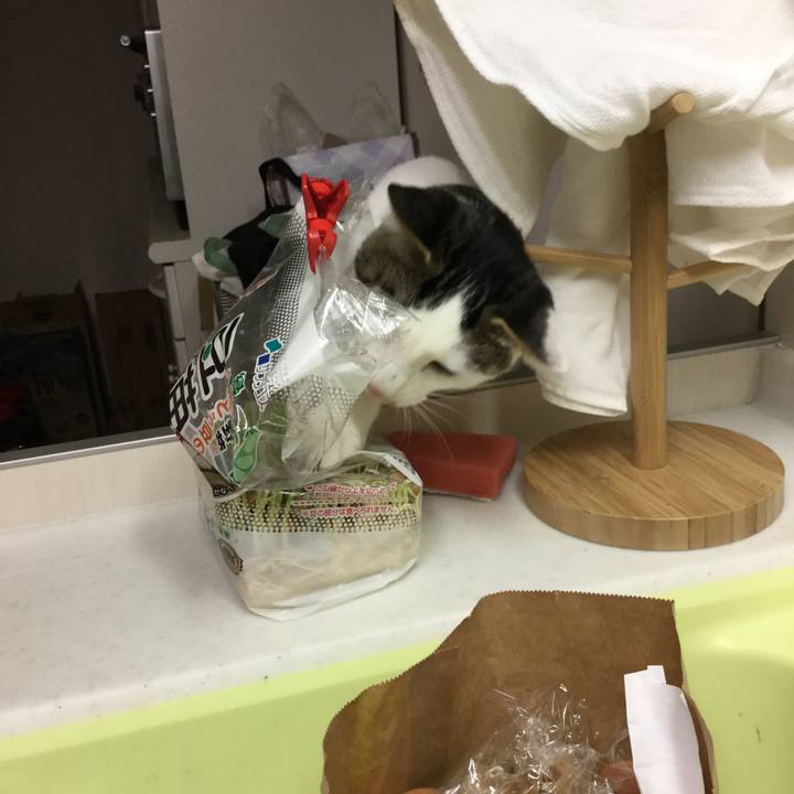 04c515e1 84af 4be3 8d2b 73da4f5d717b