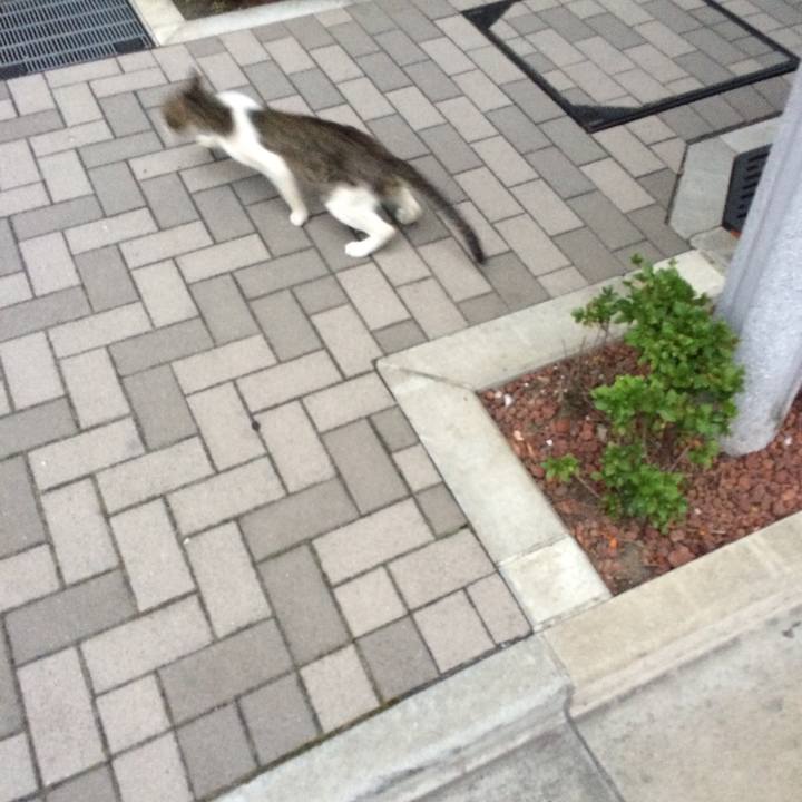 04c5358e 7769 4f59 82c8 9c5c025c4da7