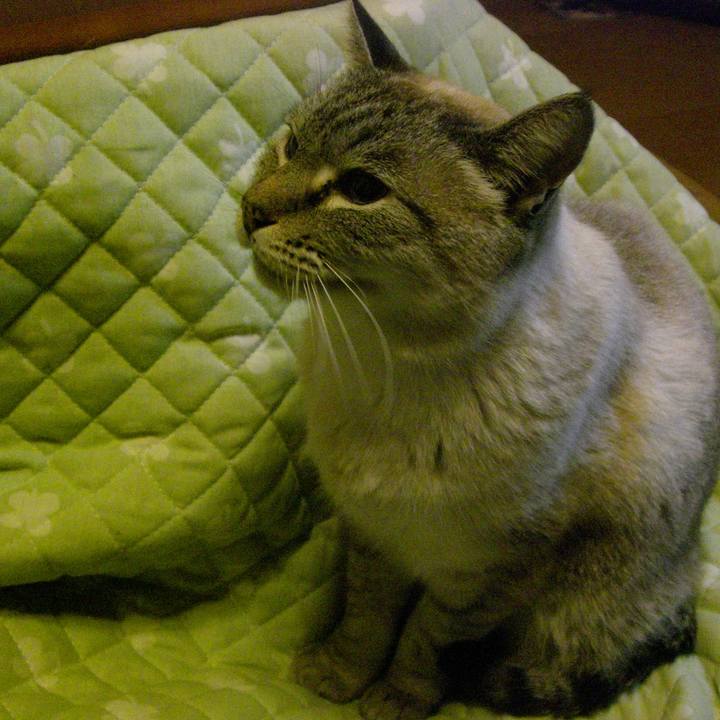 04c53dc9 f0ec 48c6 bf51 b3f06a38d7cc