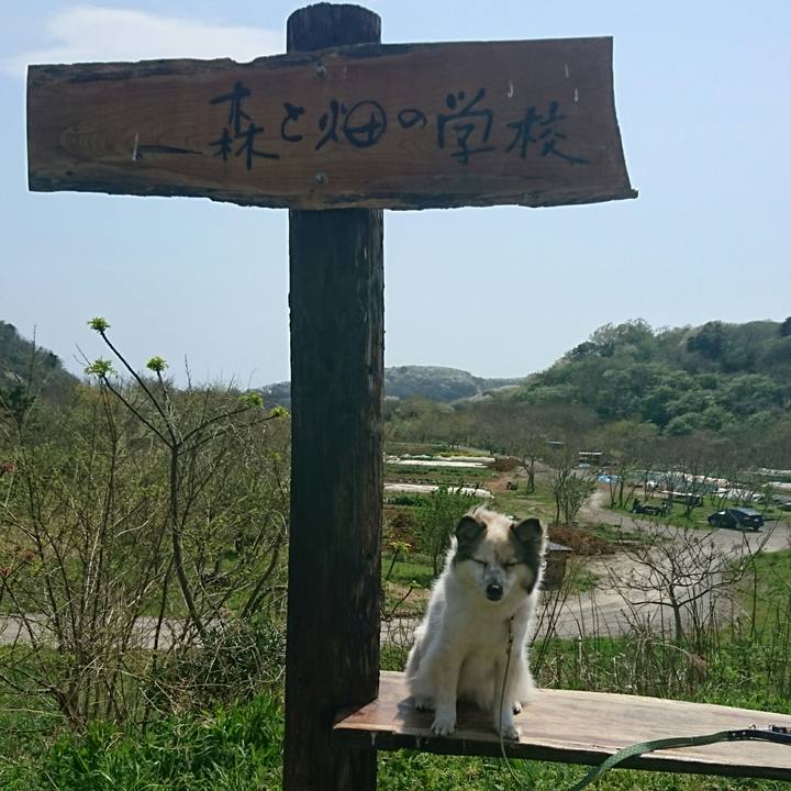 04c62c62 9d7e 4e78 b2b4 5da831e63307