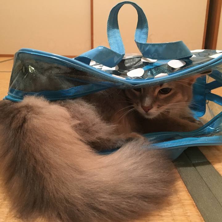 04c63105 f4ff 4b9f a38e f937a1e51c1b