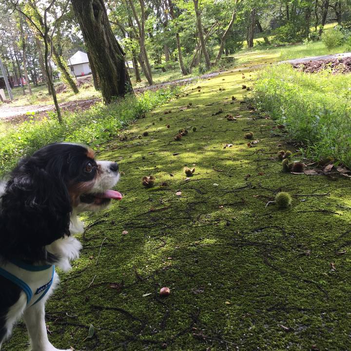 04c644ff eb5a 4924 ad54 4b22a498d6cf