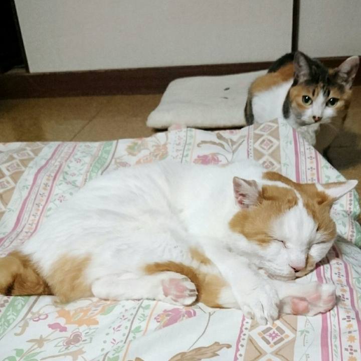 04c64651 2565 46f4 ae39 e88567bdc139