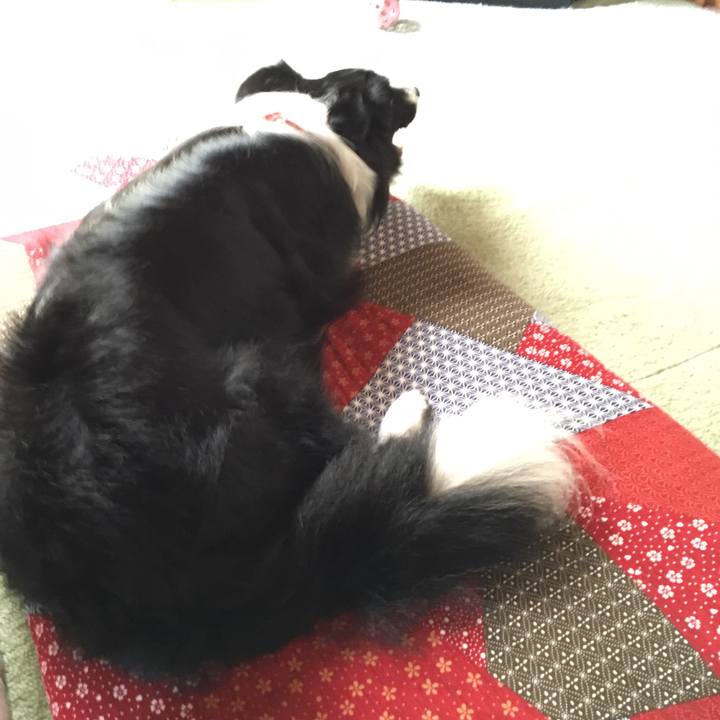 04c68066 8727 45bb bddc 6f5252cee38f