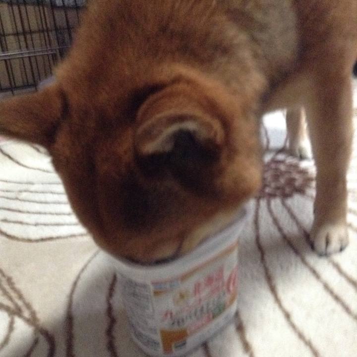 04c6dd82 61df 4db6 9a1c 1e1e383130dc