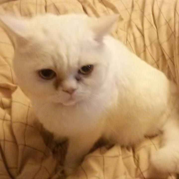 04c7049b 6ee7 4ccb b475 16fe9ad5509e