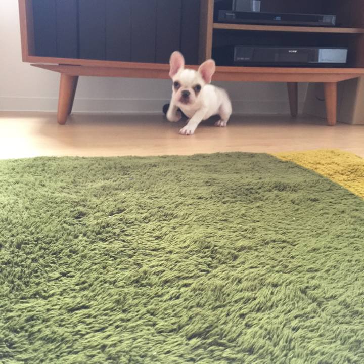 04c77163 c9ba 49b6 ac9c 4440f056f2ae