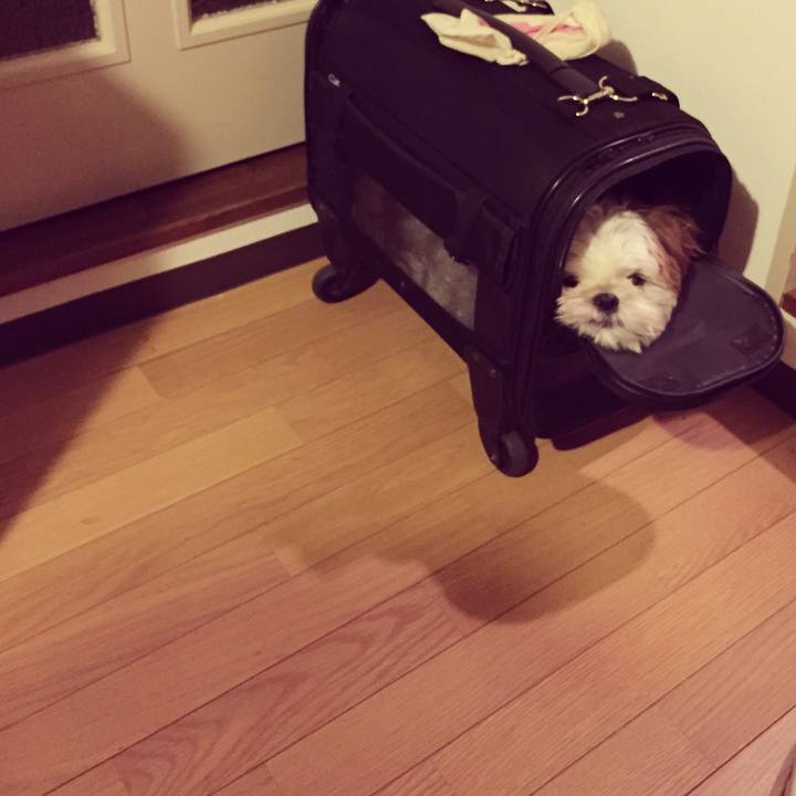 04c77e82 693e 40e6 a4a2 6590294699b4