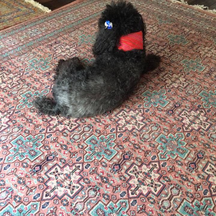 04c84c97 fbe7 415c bf1b 98f3eeffc0ca