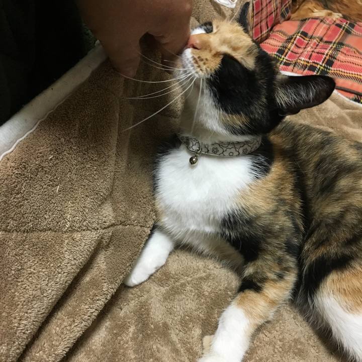 04c870ce afa1 461d a9c8 f809ba2bd7d4