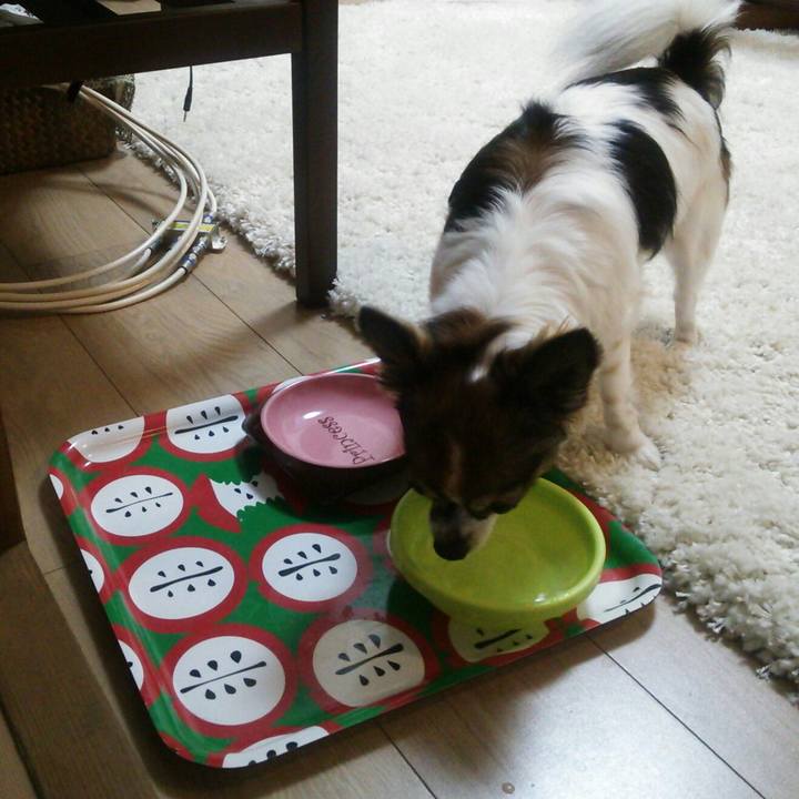 04c88767 5635 4466 b054 6992e77e9a0f