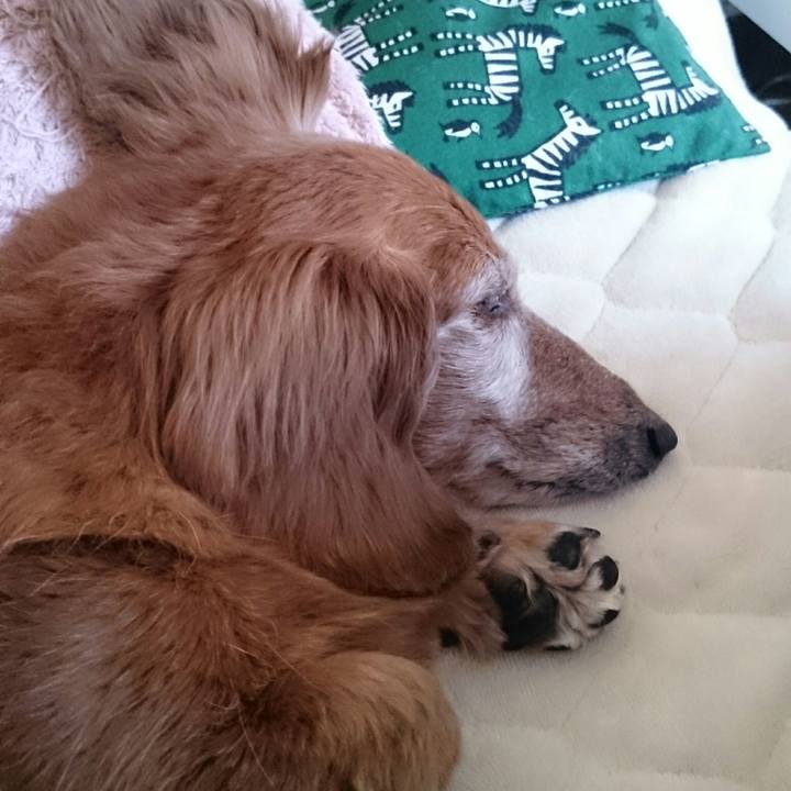 04c8c694 b131 4e77 af7c 5c19a0af8ec3