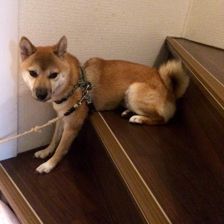 04c8faaf f016 4e84 93d8 7f119ed09b6e