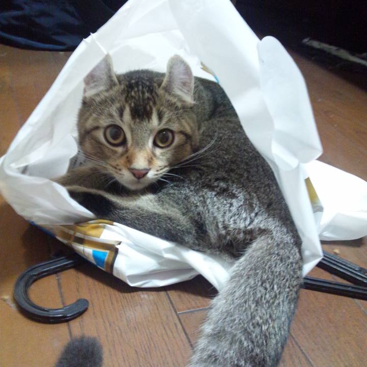 04c913dc 4f09 41e2 b5df 1cb5bbbe383a