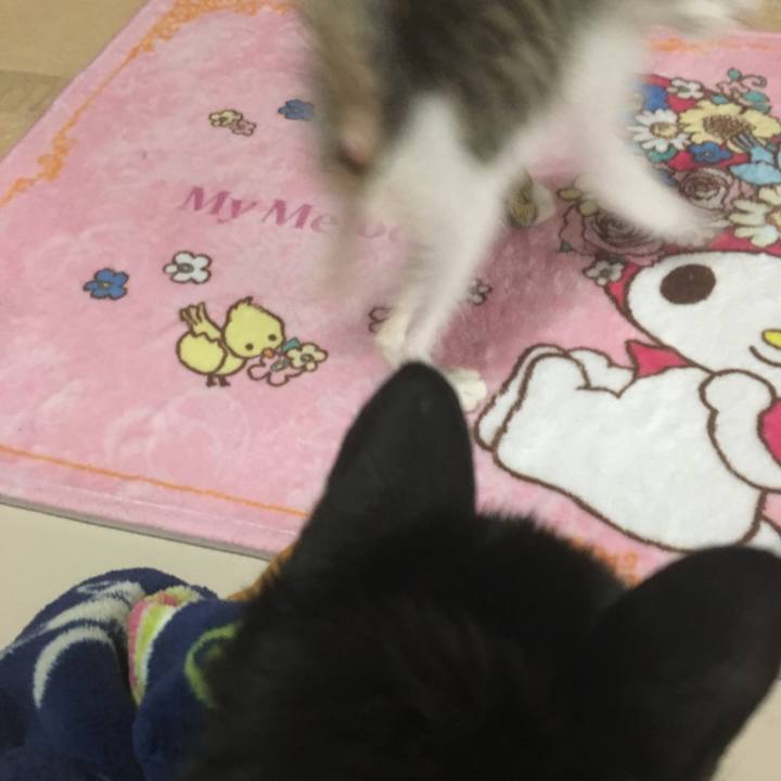 04c98158 0337 410b 8295 ee18f73a9ff4