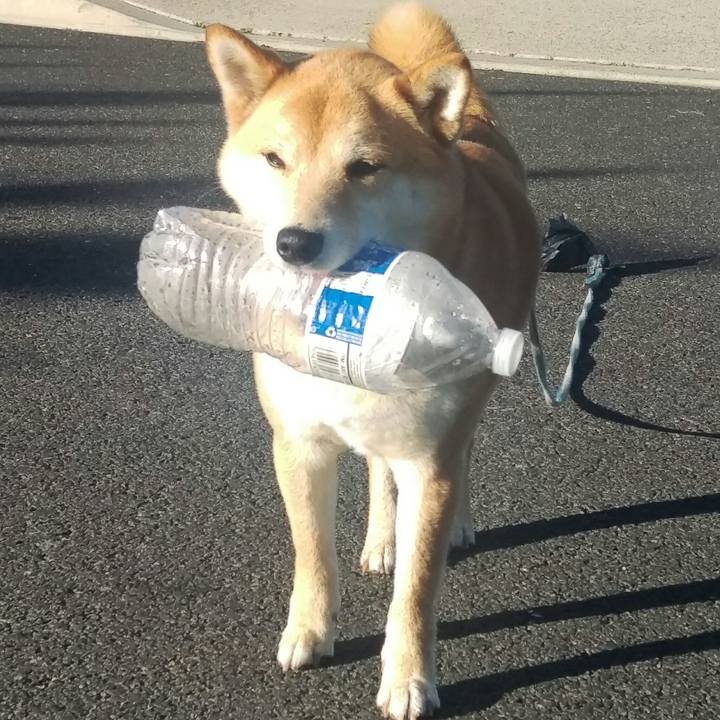 04ca2ac6 3ec5 4a01 9dcb 594202f4566e