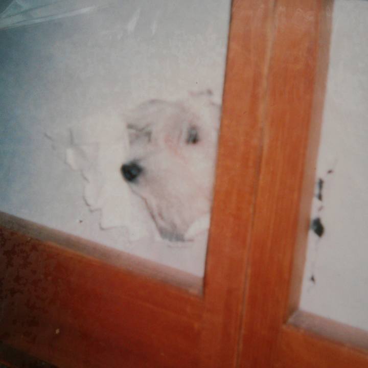 04ca931b b7f4 404d bd82 ba07ad538d07