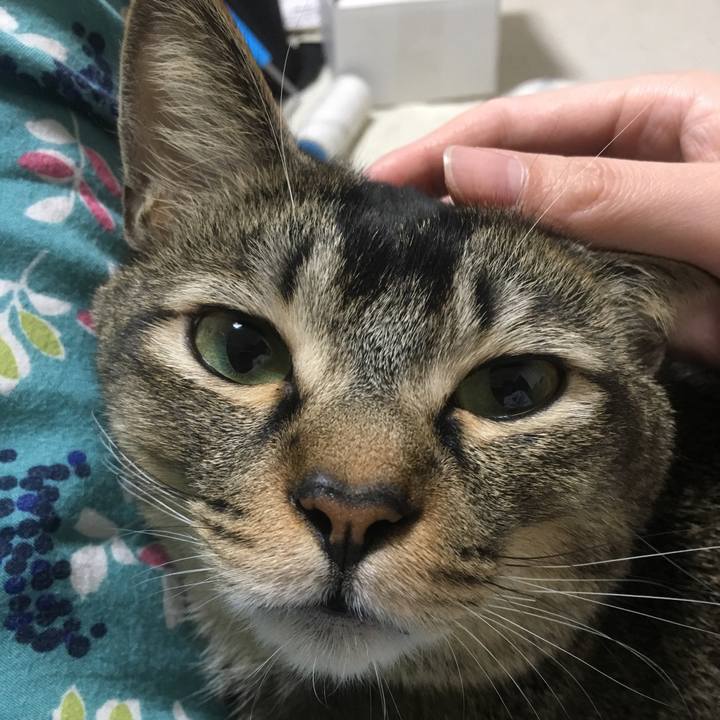 04caddd3 3071 4acf 8669 9fe33c3debeb