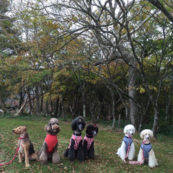 04cb07ce 874a 4870 89a0 05520c518338