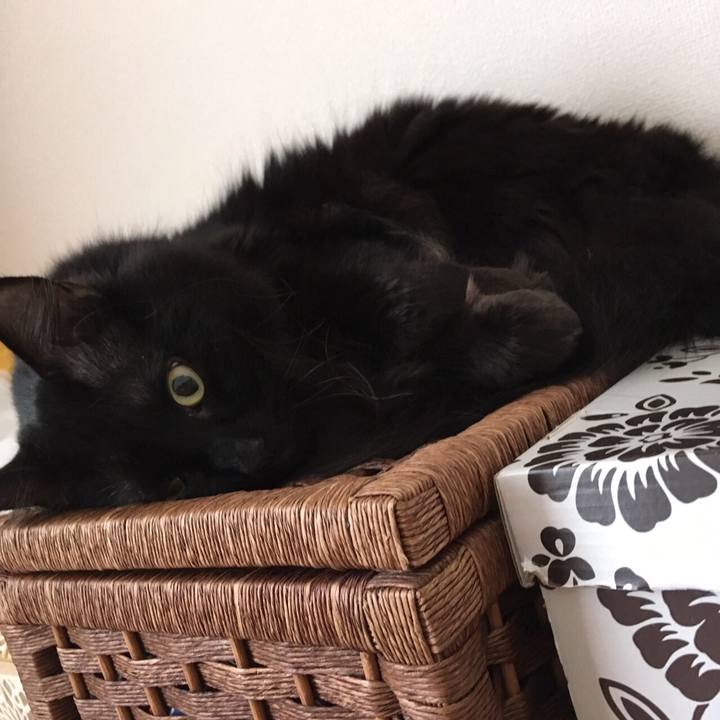 04cb147a 9188 433e 99b7 43984b08ffaa