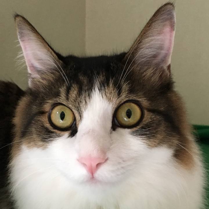 04cb8698 4d54 4850 9afb c8a41a150377