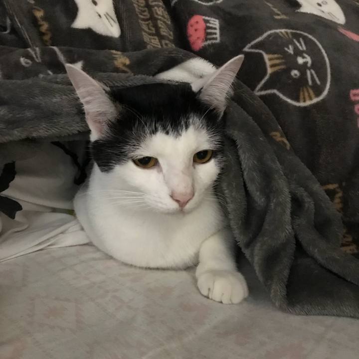 04cb93ba 2fb2 4ee6 8b84 797b606005af