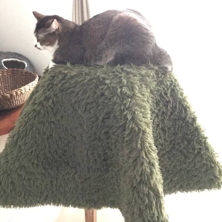 04cc6a27 72c1 49d2 ab46 aa29651bb473