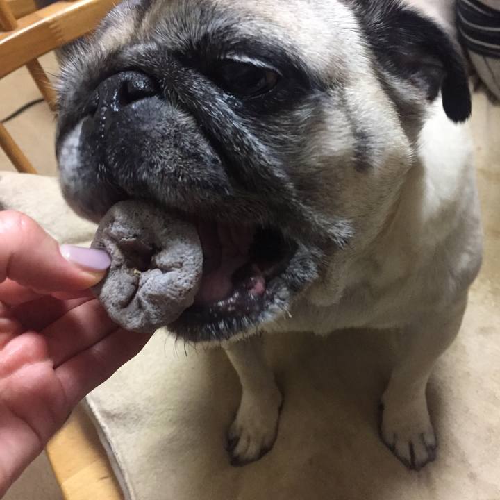 04cc7ec6 b9fc 40eb b974 ed3216e99d6f