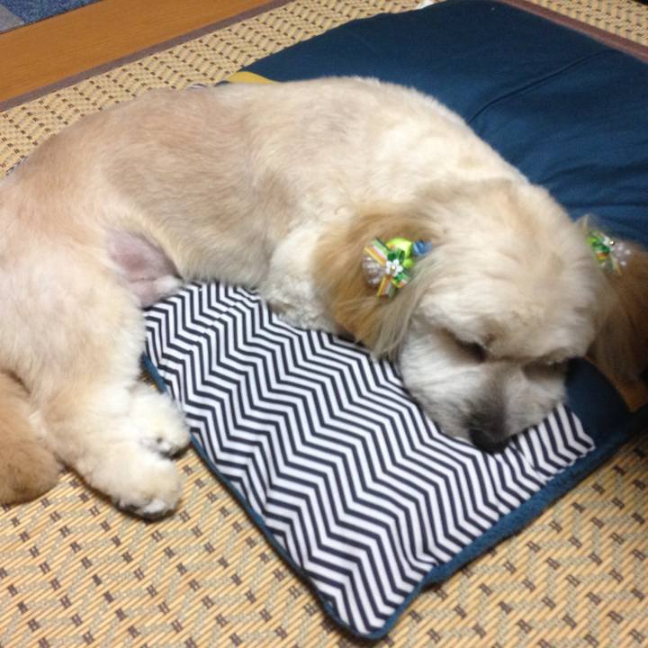 04cc90c2 47b6 426f 81e0 8b6ae38e5de3