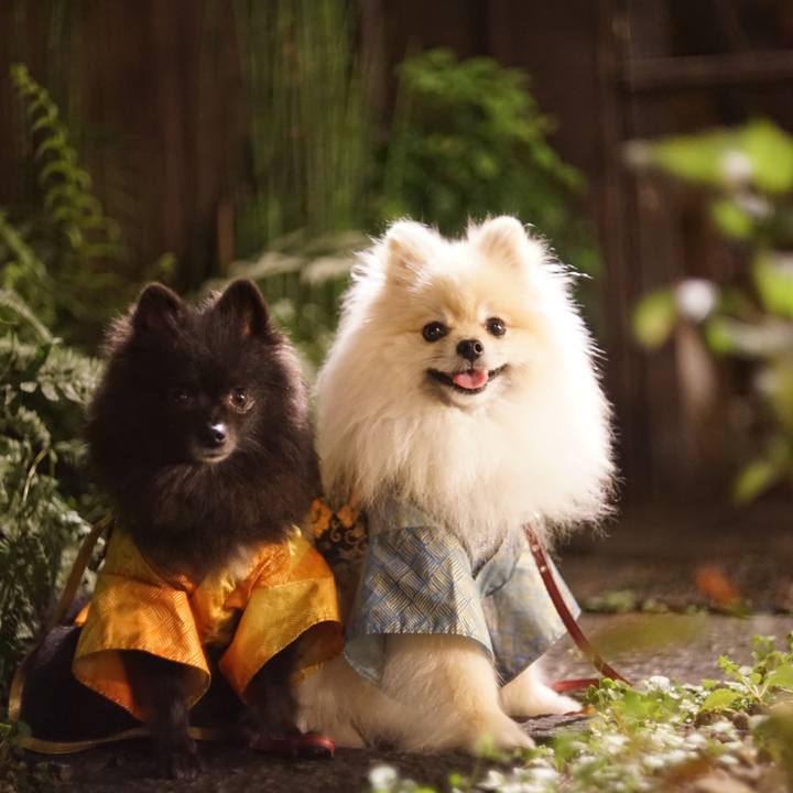 04ccdf34 257b 4a92 b710 ef6649a32a1a