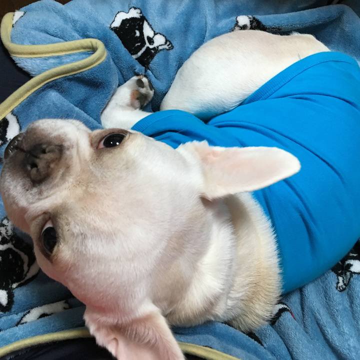 04cd2ccf 3620 47c9 8ce4 431c9d79af02