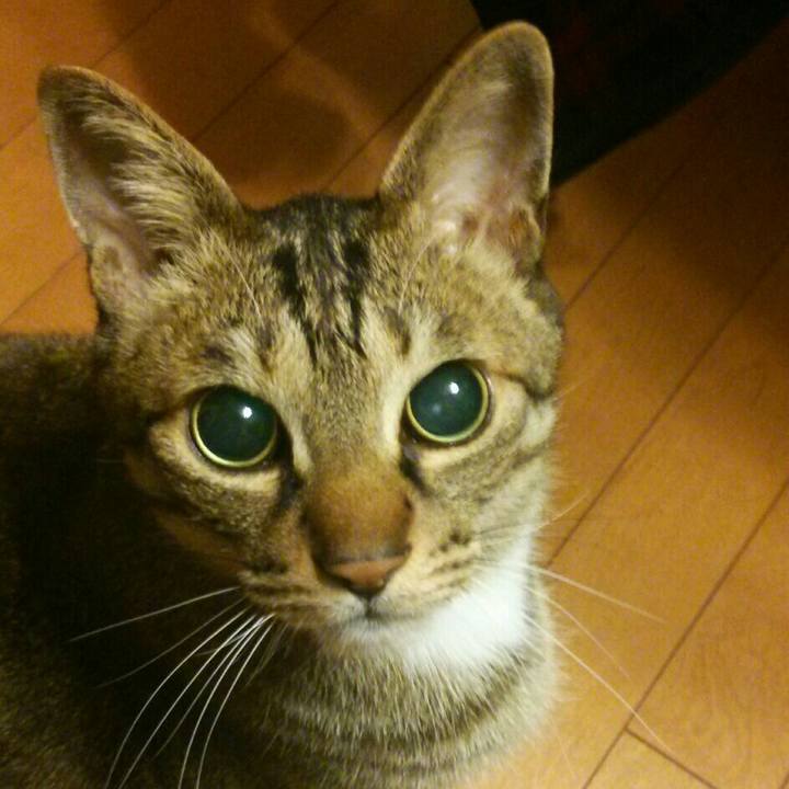 04cd5d4b c47e 4b1c 8c23 156fcaea5df7