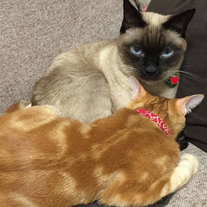 04cd79f7 0dbb 4a45 88cd 7ab5e0aebe33