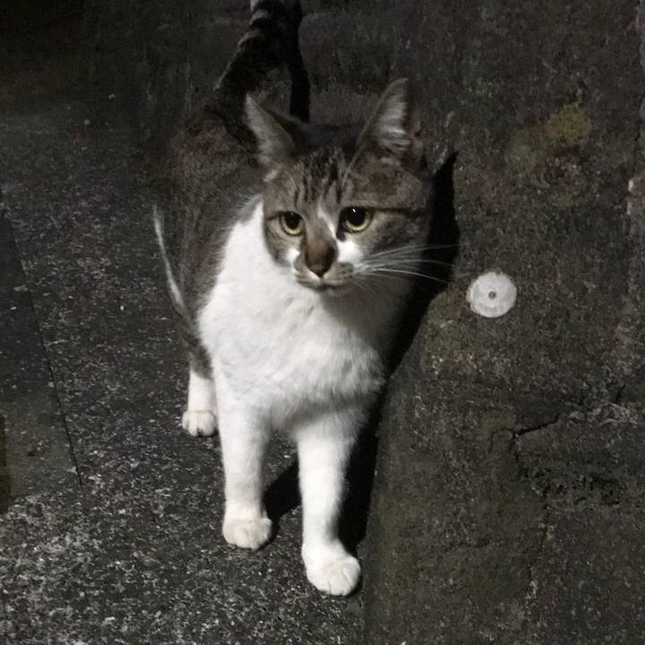 04ce489a cd0e 4b58 8abe d0038cf8ce0c