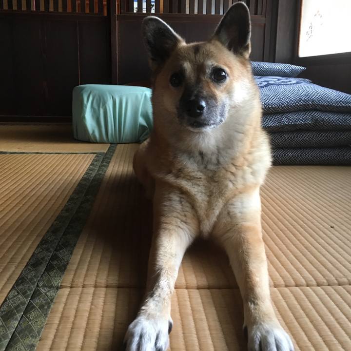 04ce7a7f faad 4379 9435 29e74dff02dc