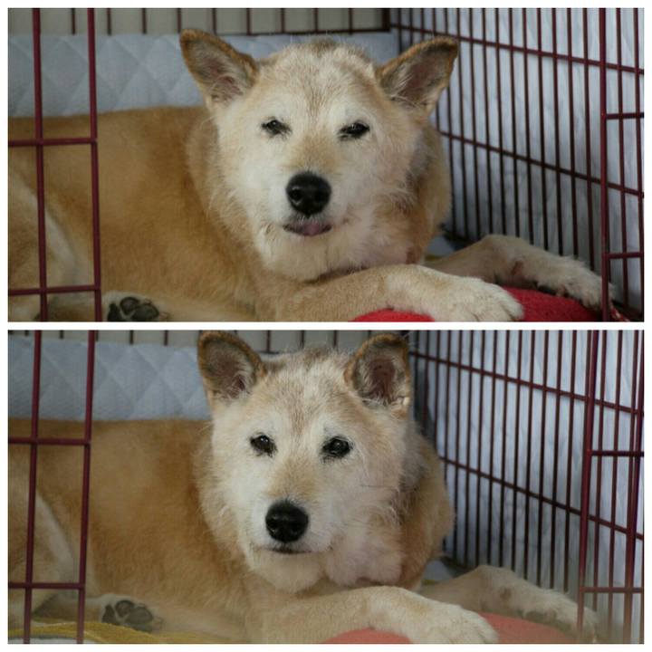 04cebd1a f845 4097 914a 9bf3bdafc42f