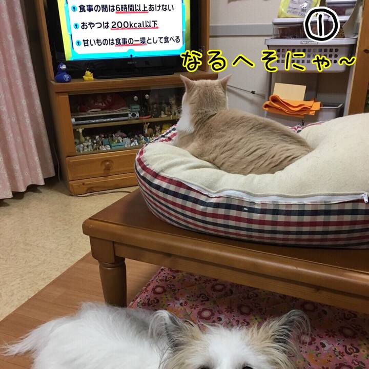 04ceda79 1aa8 4405 8606 ebadea67be5f