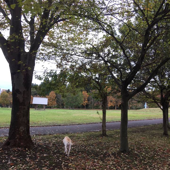 04cef5cd 6a58 49ee abce 2b7669c8fa33