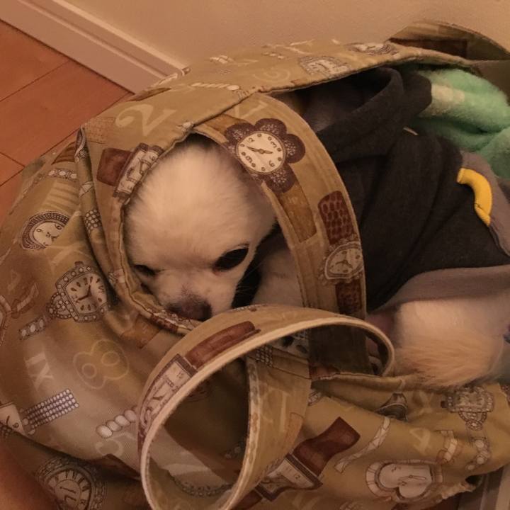 04cefd1e 5ed2 4537 9bae 89f30dca0d8e