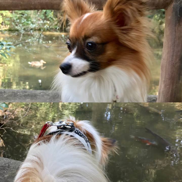 04d00c8a 7052 4d51 9300 442b7b1f25b5